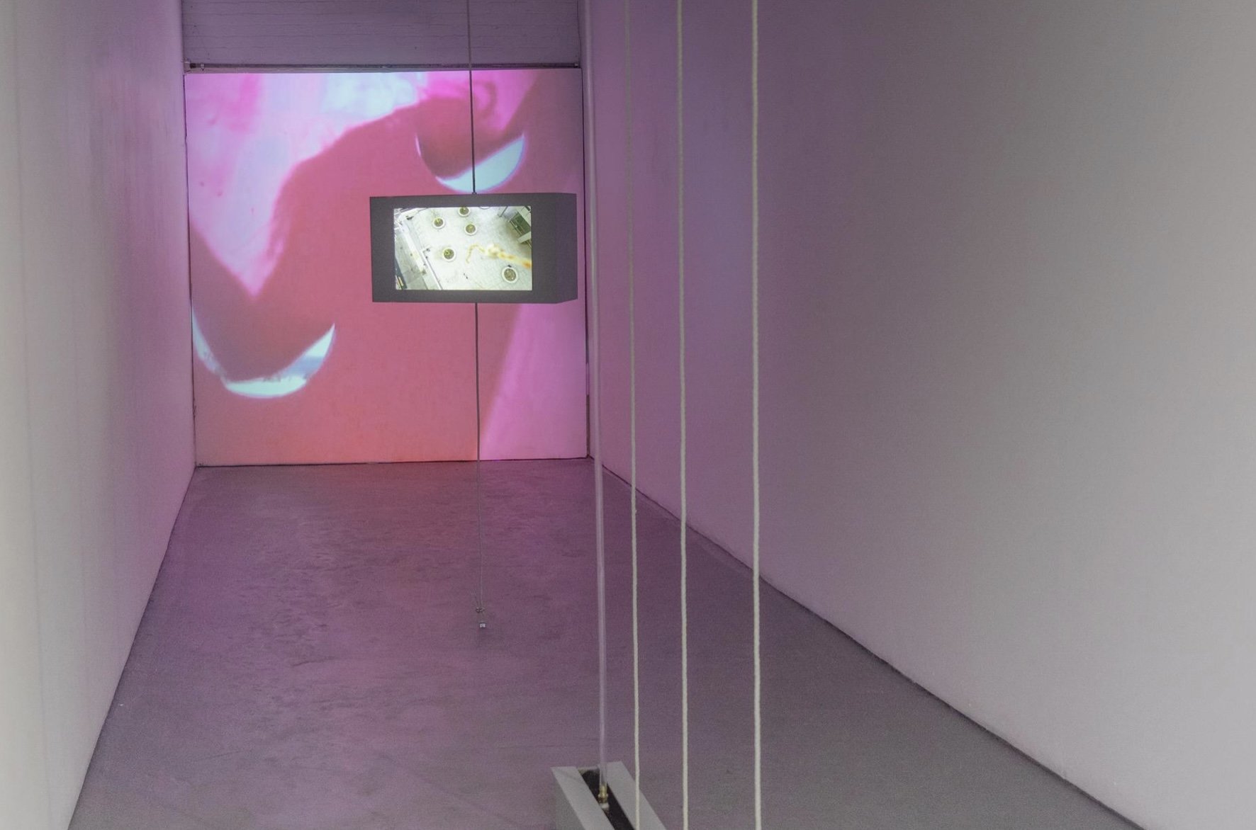 Installation view of a narrow gallery illuminated by a pink video projection, with a suspended monitor and vertical ropes extending through the space.